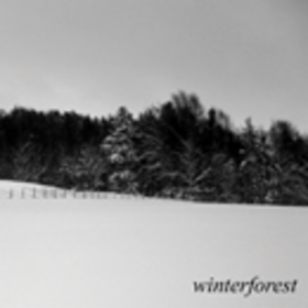gm_drs_winterforest_cd.jpg&width=280&height=500